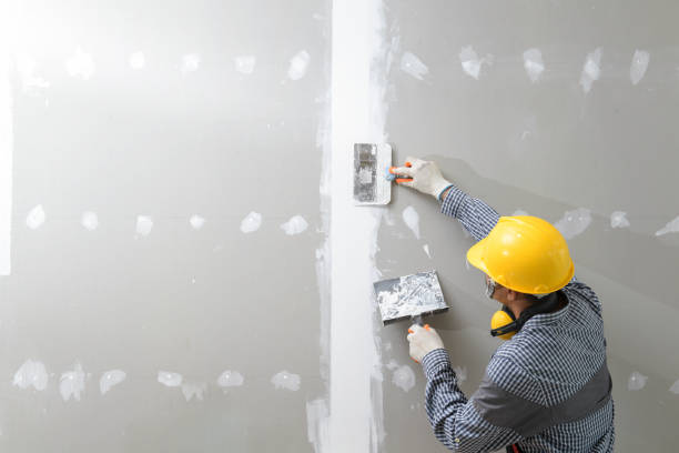 Best Basement Mold Removal  in Ensley, FL